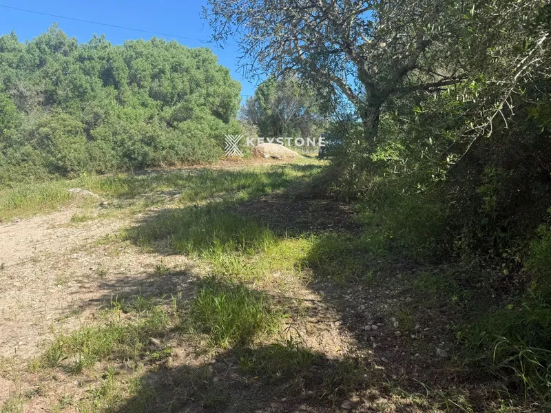 Plot — photo 4