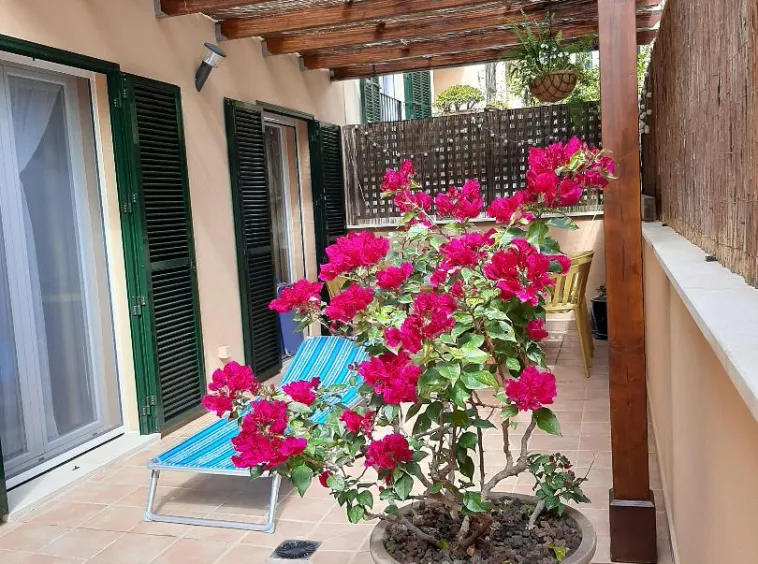Ref. 2399A – Andratx – modern apartment with swimming pool — photo 6
