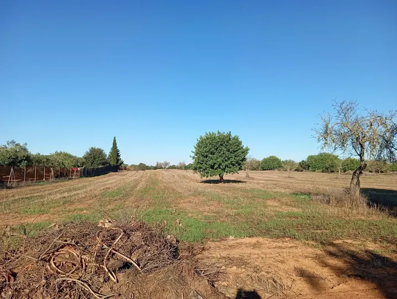 Discover this magnificent rustic estate of 46,000 m2! 🌳 The property features a charming 100 m2 country house, ideal for enjoying — photo 6