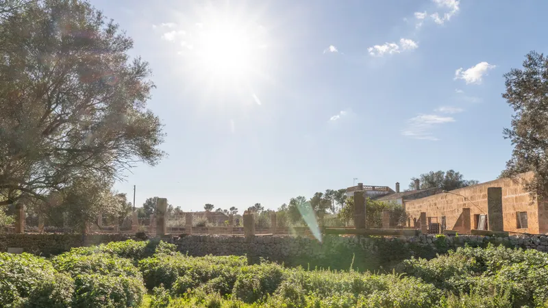 Fantastic finca in Vilafranca de Bonany with project and building license, large plot for investors — photo 6
