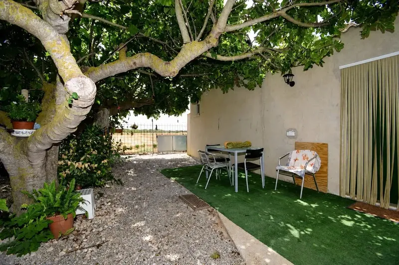 Rustic estate of 8,105 m2 with small house and washhouse in Sa Pobla — photo 12