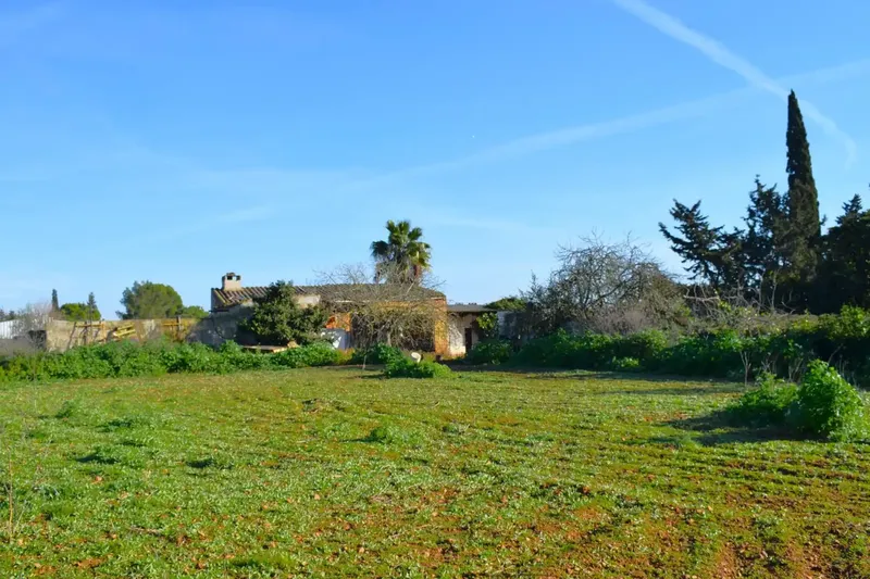 Rustic finca in Muro with 14,196 m2 of land and open views of the Serra de Tramuntana, in a quiet setting with great potential. — photo 2