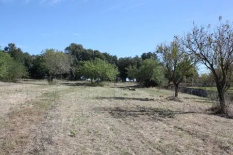 Plot — photo 2