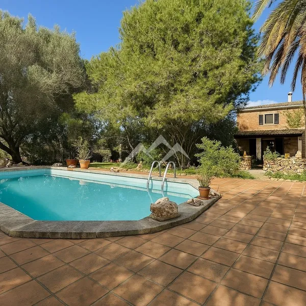 Finca with house and pool — photo 2
