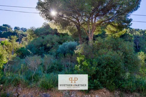 Land in Canyamel, Mallorca — photo 12