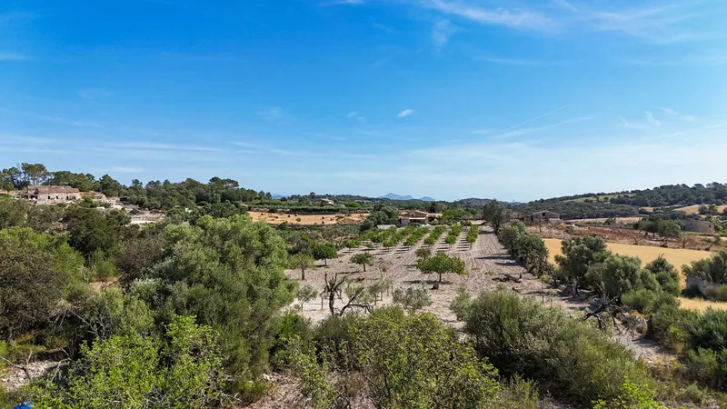 Llubi – Building plot with 35,032 m2 of land without project — photo 3