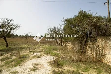 Rural Land - Santa Margalida, Plot Surface 14310 m², Distance to the Sea 6 km — photo 10