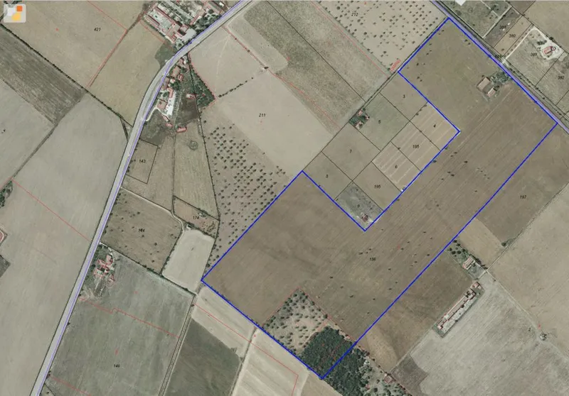Spacious country house to reform on a large plot near Sa Rapita — photo 8