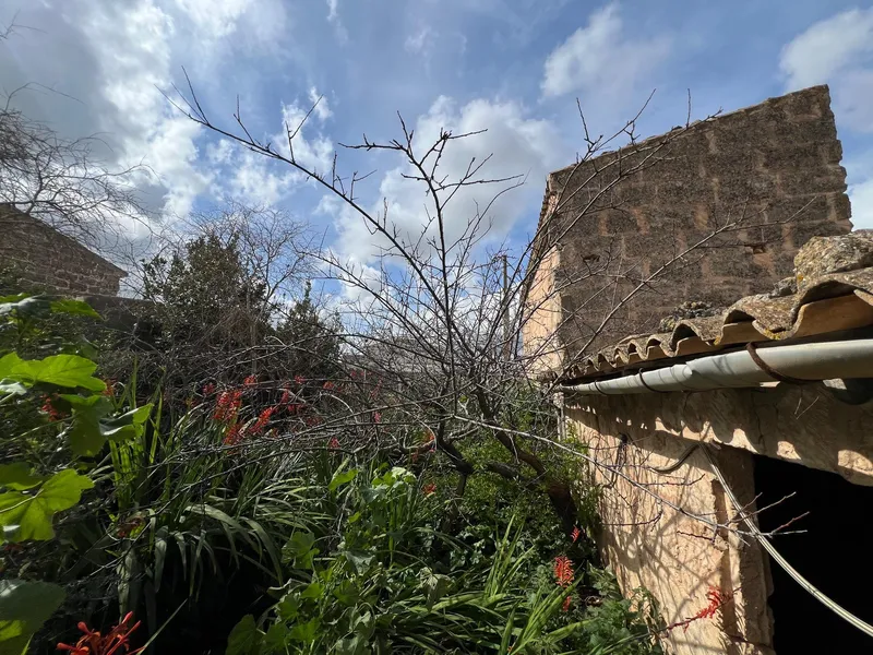 Renovation Opportunity in Muro, Mallorca — photo 6