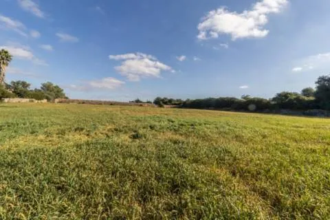 Plot — photo 1