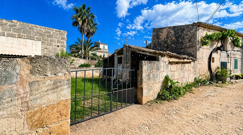 Building plot in Ses Salines — photo 7