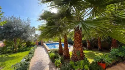 House on Carrer Penyes — photo 4
