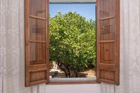 Terraced house - Palma de Mallorca (L'Olivera - Amanecer) — photo 2