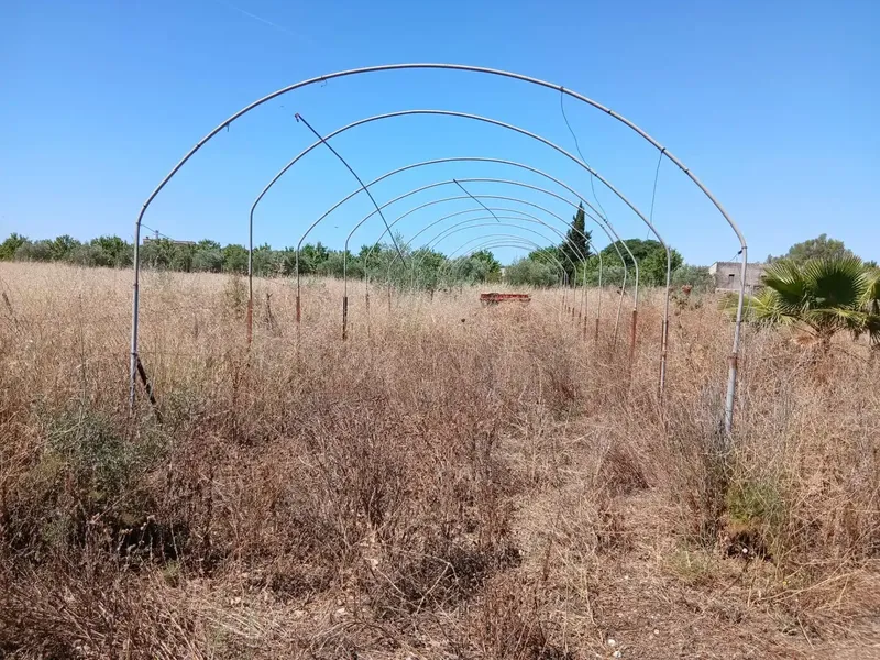 Located in the charming town of Consell, between Santa Maria and Consell, accessible via a comfortable paved road adjacent to the highway — photo 7