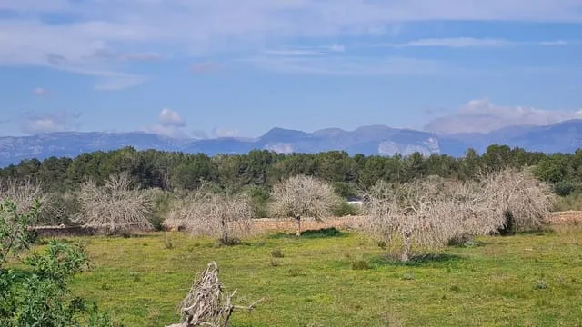 Finca/Country House for sale in Algaida — photo 4