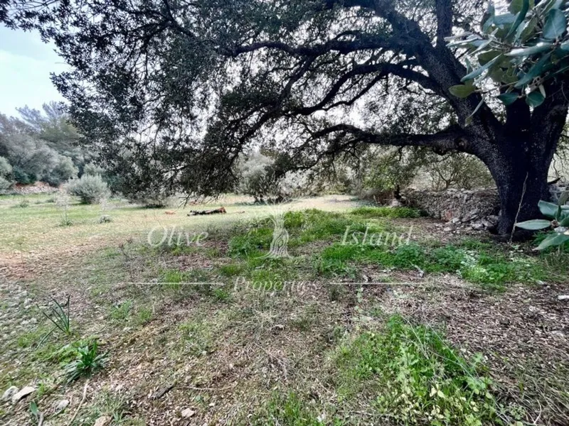 Land in Algaida, Province of Balearic Islands — photo 12