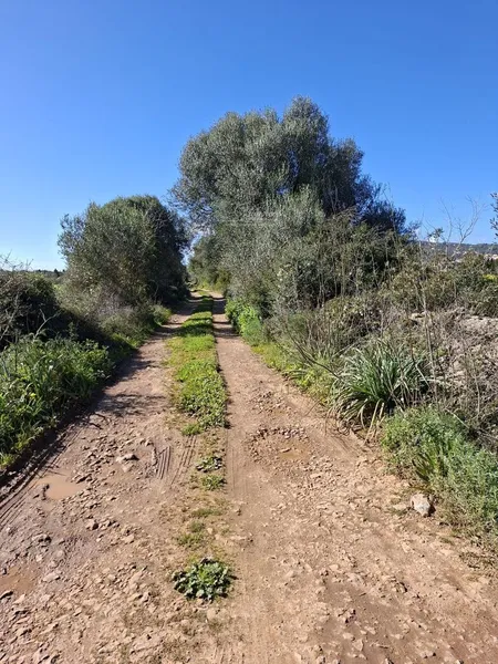 Plot — photo 1