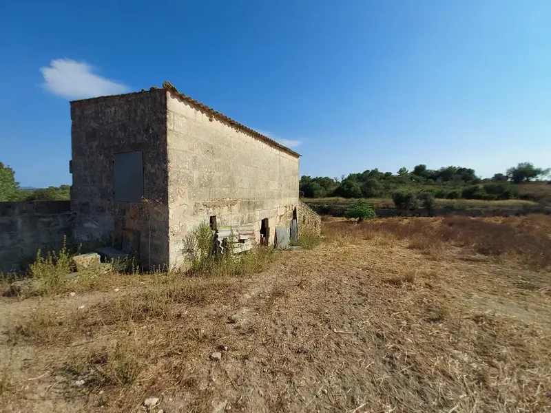 Land in Maria de la Salut, Mallorca — photo 5