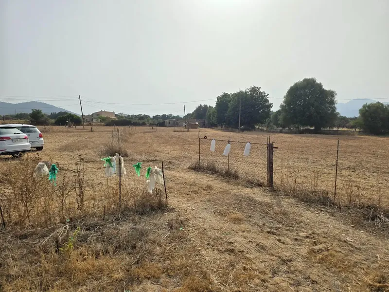 A blank canvas of almost 25,000 m2 in the center of Mallorca with its own well? Yes, it exists. — photo 4