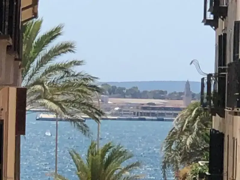 Brand new in La Calatrava! Exclusive rental in the old town of Palma — photo 3