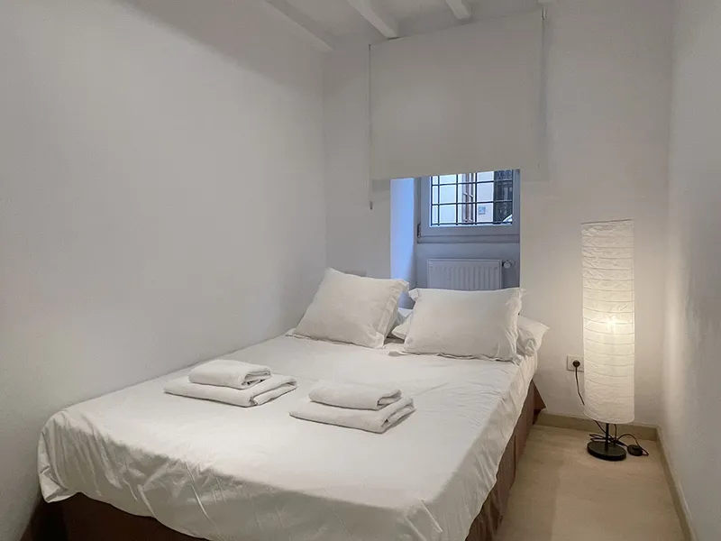 Elegant duplex flat with 2 bedrooms and 2 bathrooms in La Lonja area, Palma — photo 7