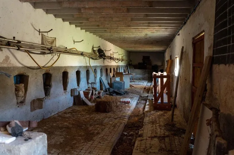 Rural or Farmhouse in Palma de Mallorca, Province of Balearic Islands — photo 4