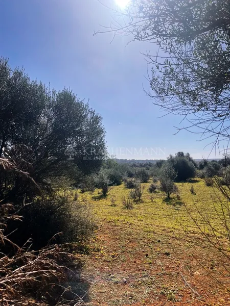 Building Plot in the Outskirts of Campos — photo 2