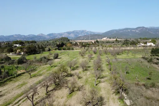 Marratxi, dreamlike new-build finca with pool and views of the Tramuntana mountains near Marratxinet — photo 2