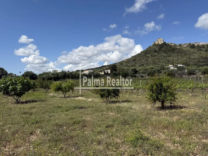 Land for sale in Son Servera of 6451 m2 — photo 1