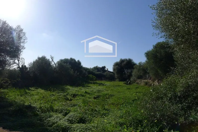 Plot in Ses Salines, 360 m², sea and Cabrera views, pool possible — photo 1