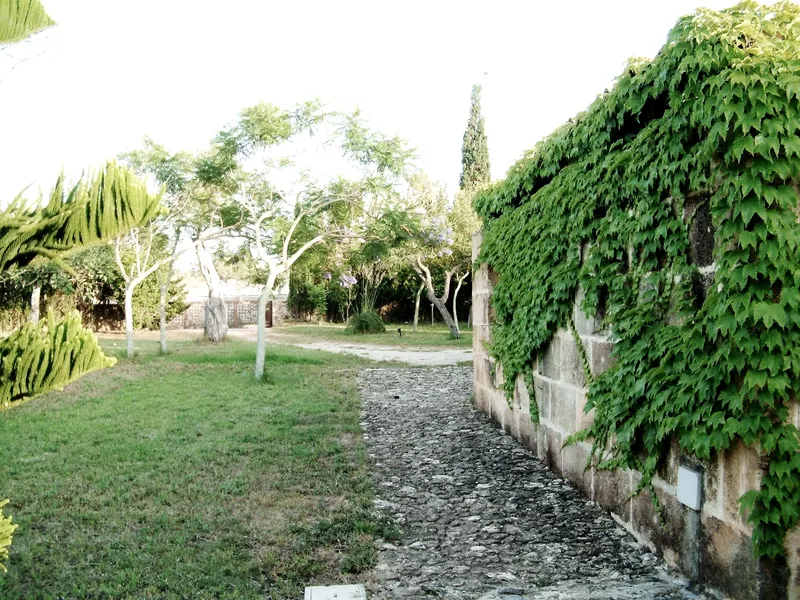 Minimalist finca with views of Artà — photo 8