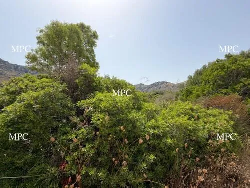 Exclusive Building Plot with Stunning Sea Views in Betlem, Artà — photo 1