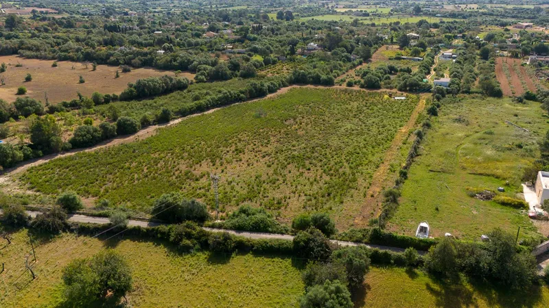 Rustic plot with project and favorable resolution in Llucmajor — photo 3
