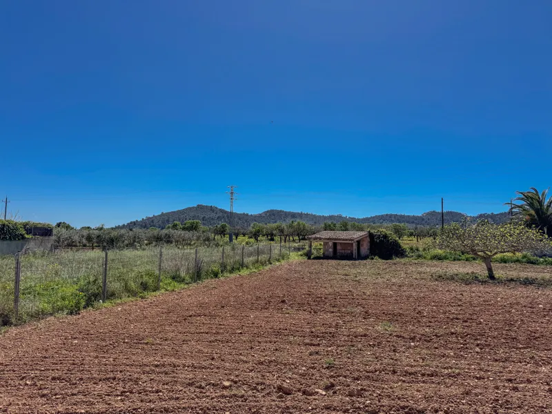 Magnificent property in Porreres — photo 8