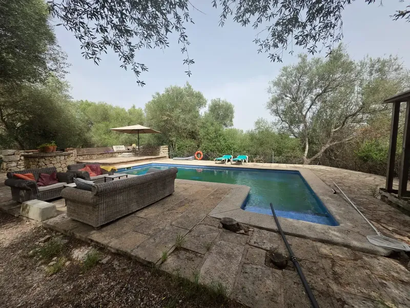 Beautiful rustic finca with pool in Pina — photo 4