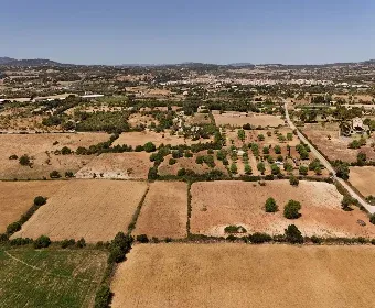 Land for Sale in Sant Llorenç des Cardassar — photo 12