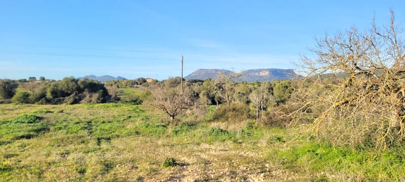 Spacious plot (7,083 m²) in Llucmajor – pure nature! — photo 1