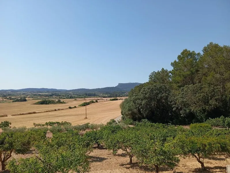 Rural or Farmhouse in Lloret de Vistalegre, Province of Balearic Islands — photo 3