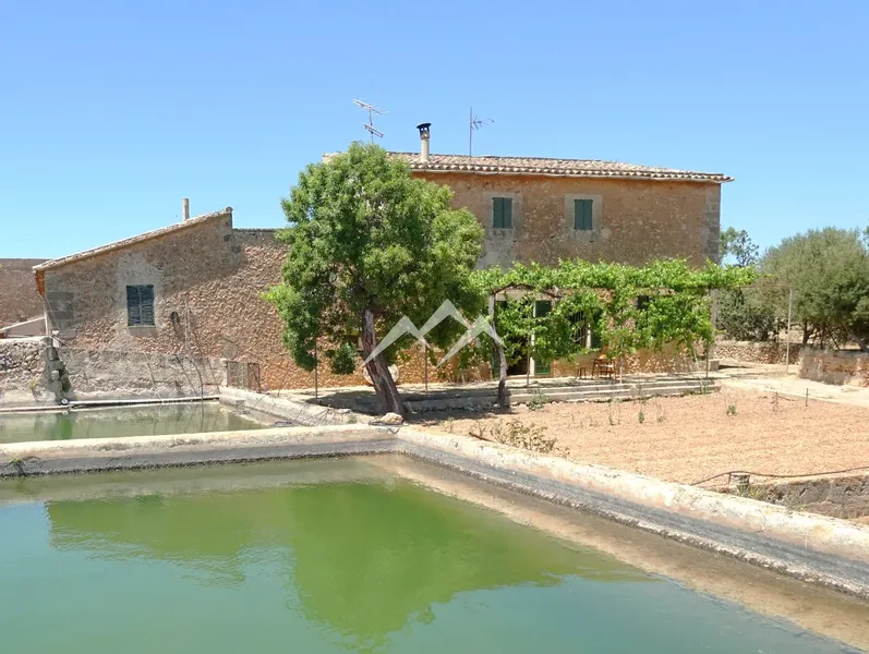 140,000 m2 Estate in Palma — photo 10