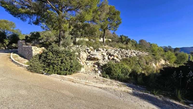 Land in Bunyola, Province of Balearic Islands — photo 7