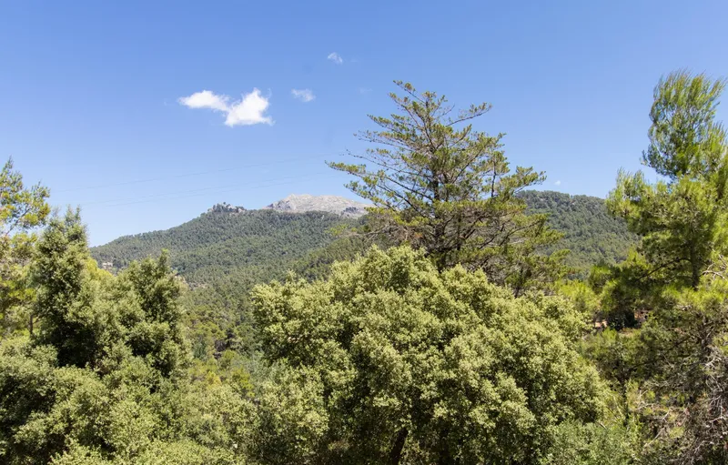 Charming home with an idyllic setting in the heart of the Serra de Tramuntana — photo 3