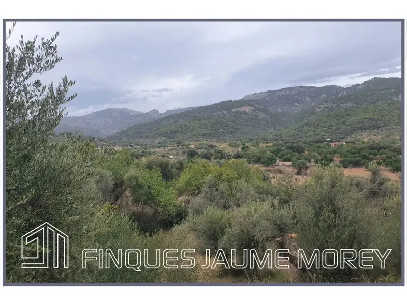 Discover your perfect refuge in nature! This charming rustic mountain property, located at the foot of the majestic Tramuntana mountain range — photo 4