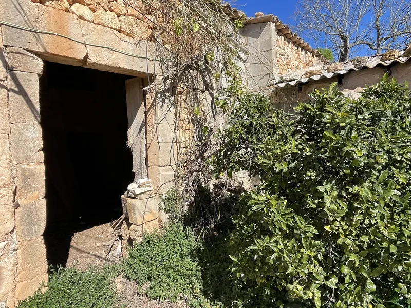 Journey back in time to the 16th century – historic finca in Campos — photo 10