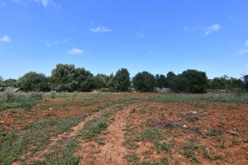 Plot with basic project, electricity and water just 900 meters from Santanyi — photo 2