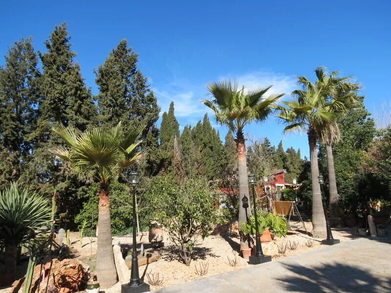 Finca with 6 bedrooms, 3 guest houses and holiday rental license, near Llucmajor — photo 11