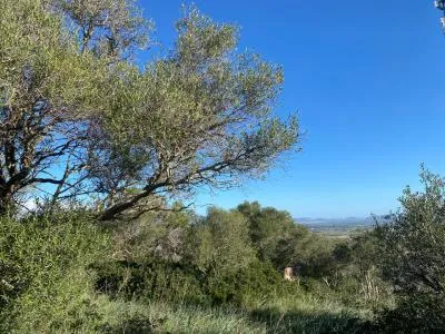 Rural Land - Santa Eugènia (Nucleo urbano 59), Plot Surface 1477m² — photo 1