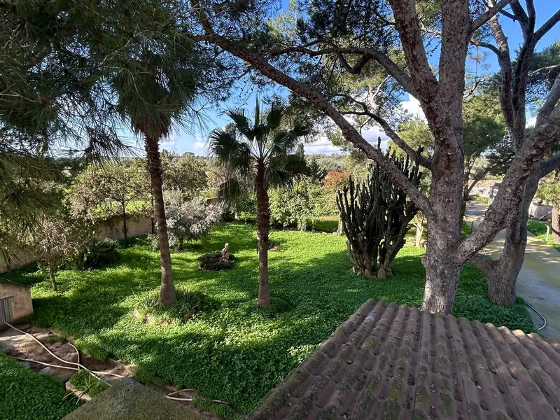 Finca with pool very close to Es Trenc, Sa Ràpita — photo 7