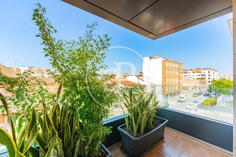 Apartment for sale in Alfons Magnanim — photo 6