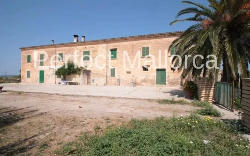 Majorcan country estate near Villafranca de Bonany — photo 2