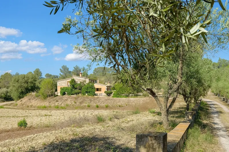 Emblematic estate with valid pool license, in Sant Joan — photo 12